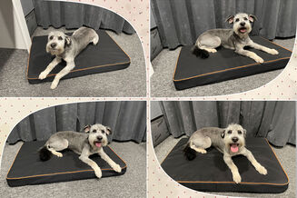 Legowisko O'Ahu Plus L 90x60x8 - 15